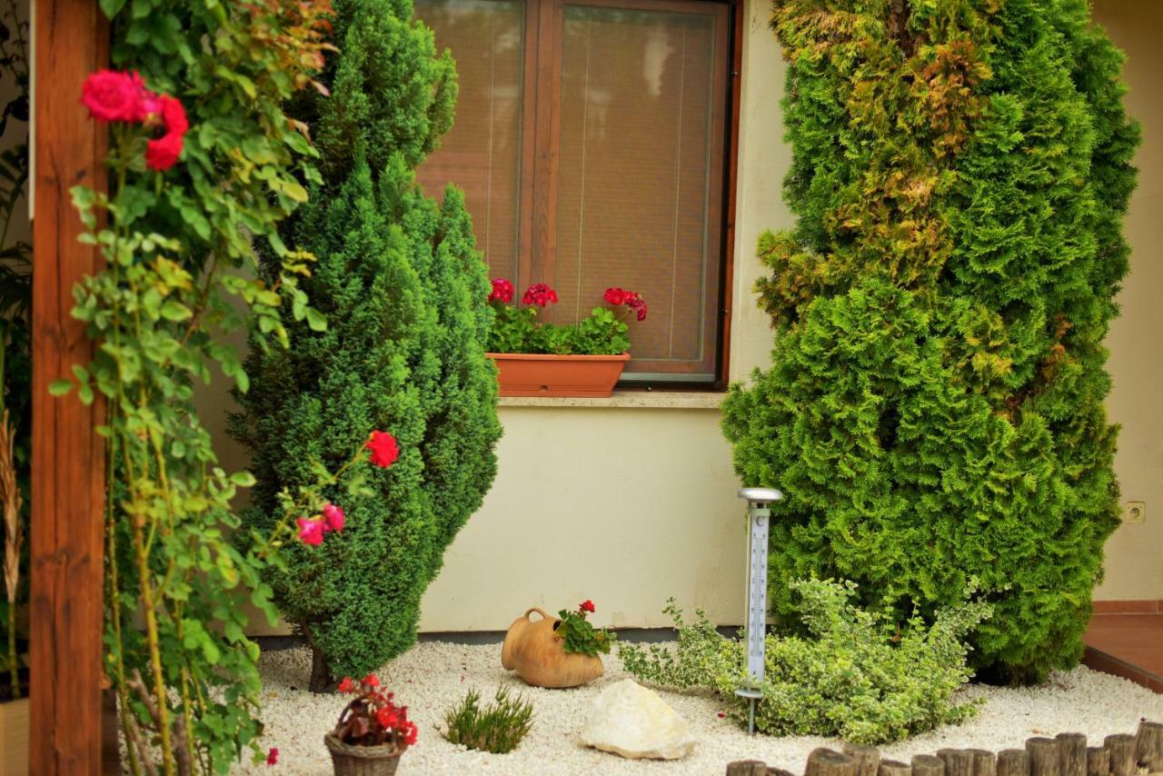 Apartment Larion Štúrovo Exteriér fotografie